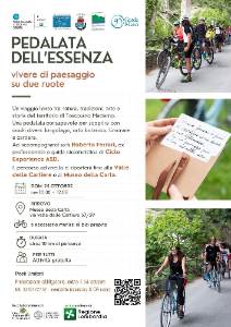 PEDALATA DELL'ESSENZA
