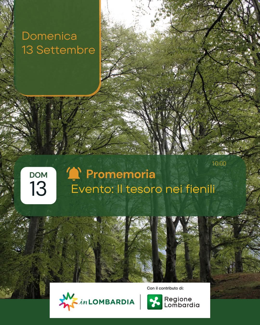 Il tesoro nei fienili