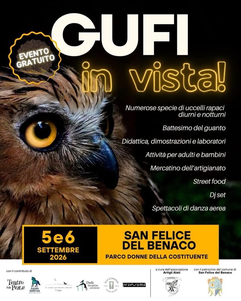 GUFI IN VISTA