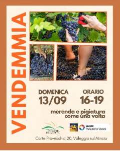 VENDEMMIA