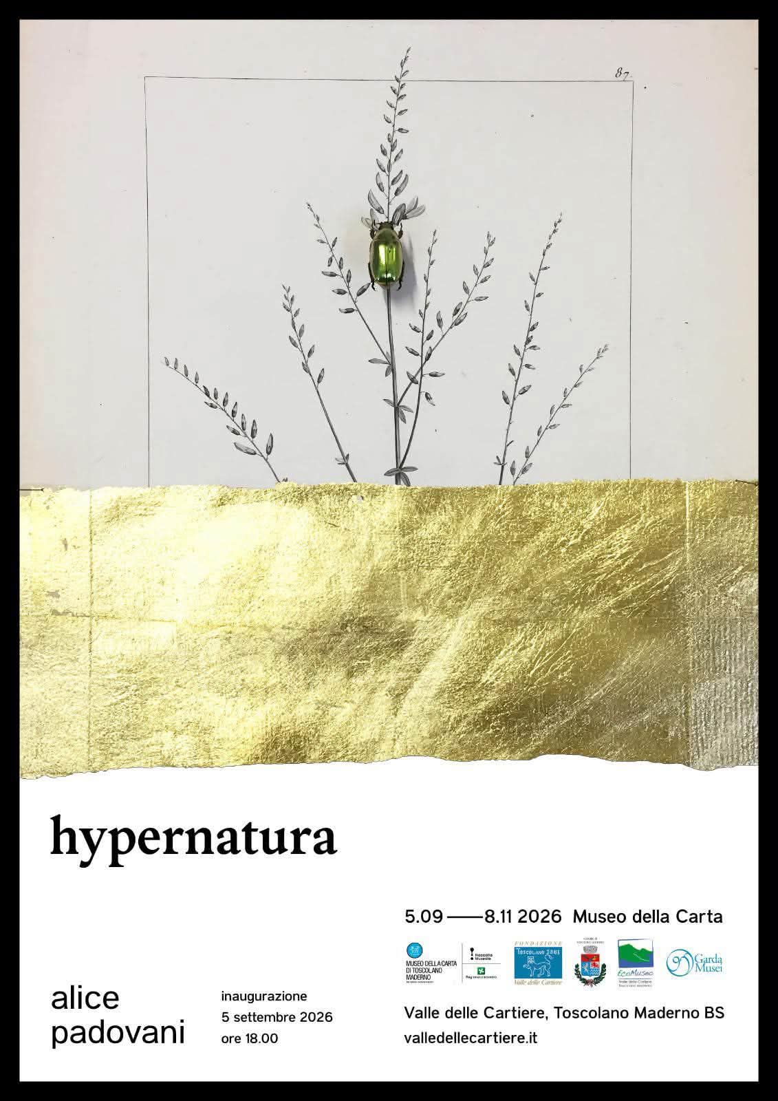 HYPERNATURA