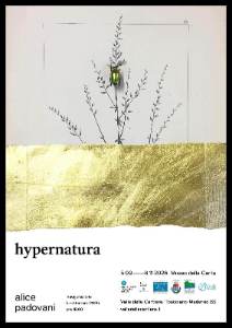 HYPERNATURA
