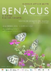 BENACUS IL GARDA E LE SUE COLLINE