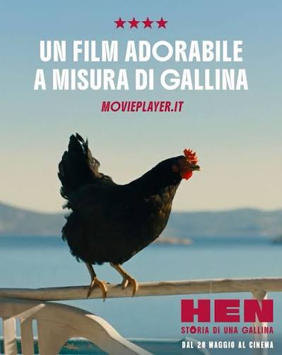HEN STORIA DI UNA GALLINA